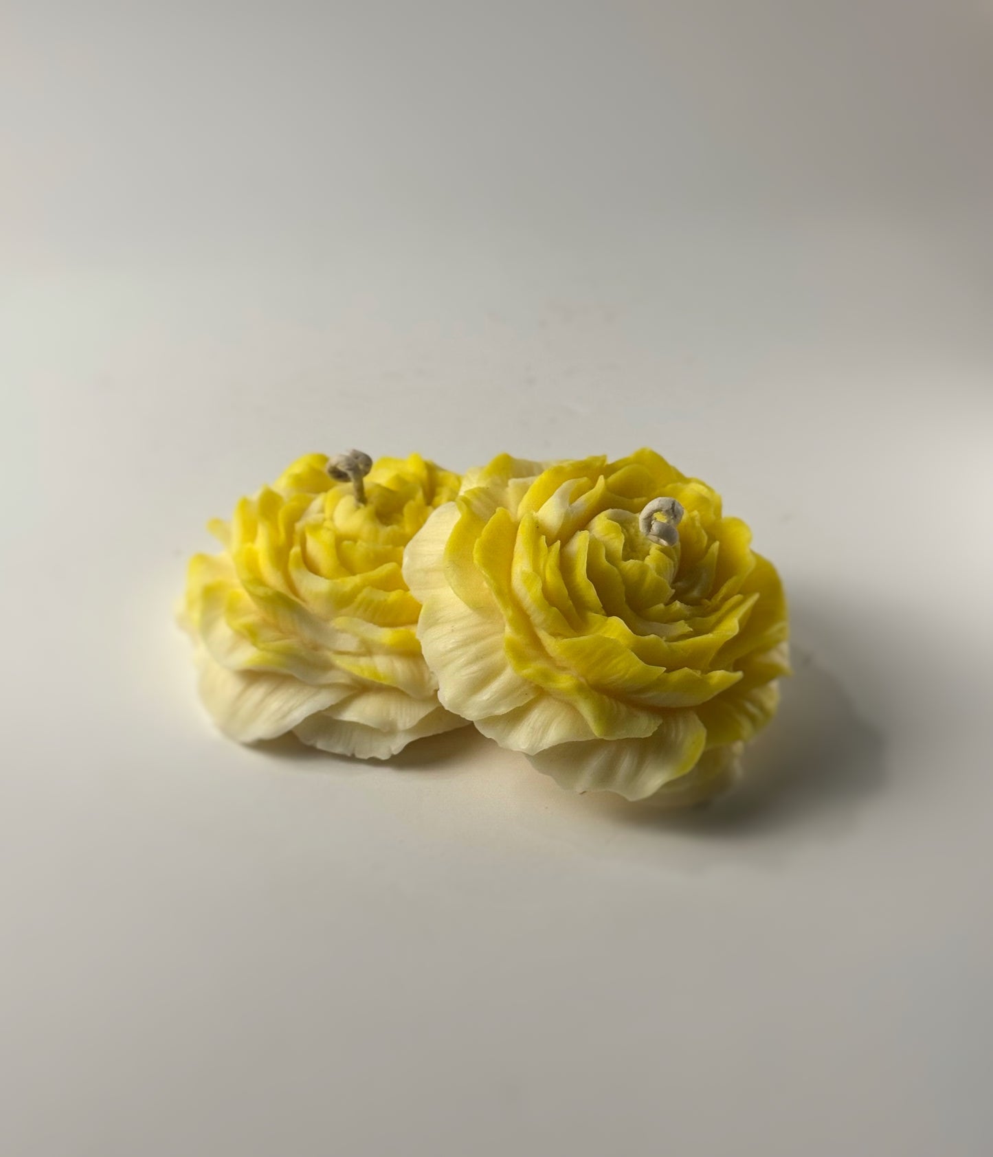 Peony Bloom Pack