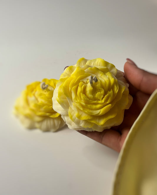 Peony Bloom Pack