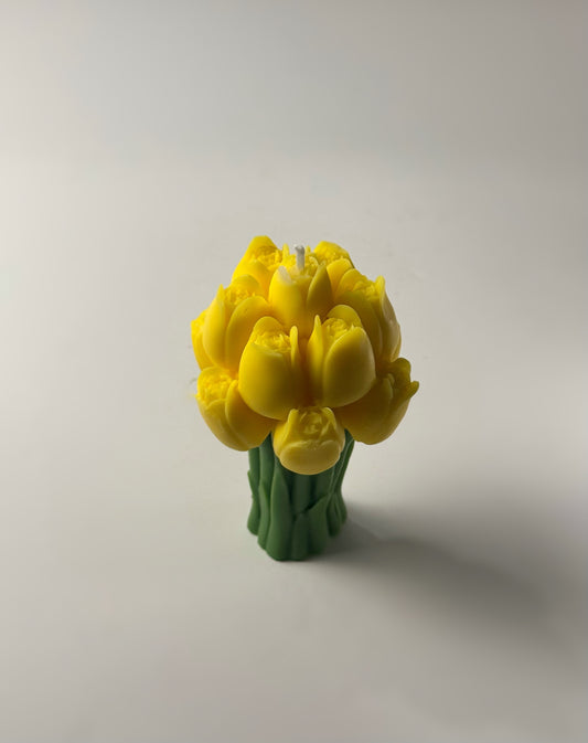 Tulip Flower