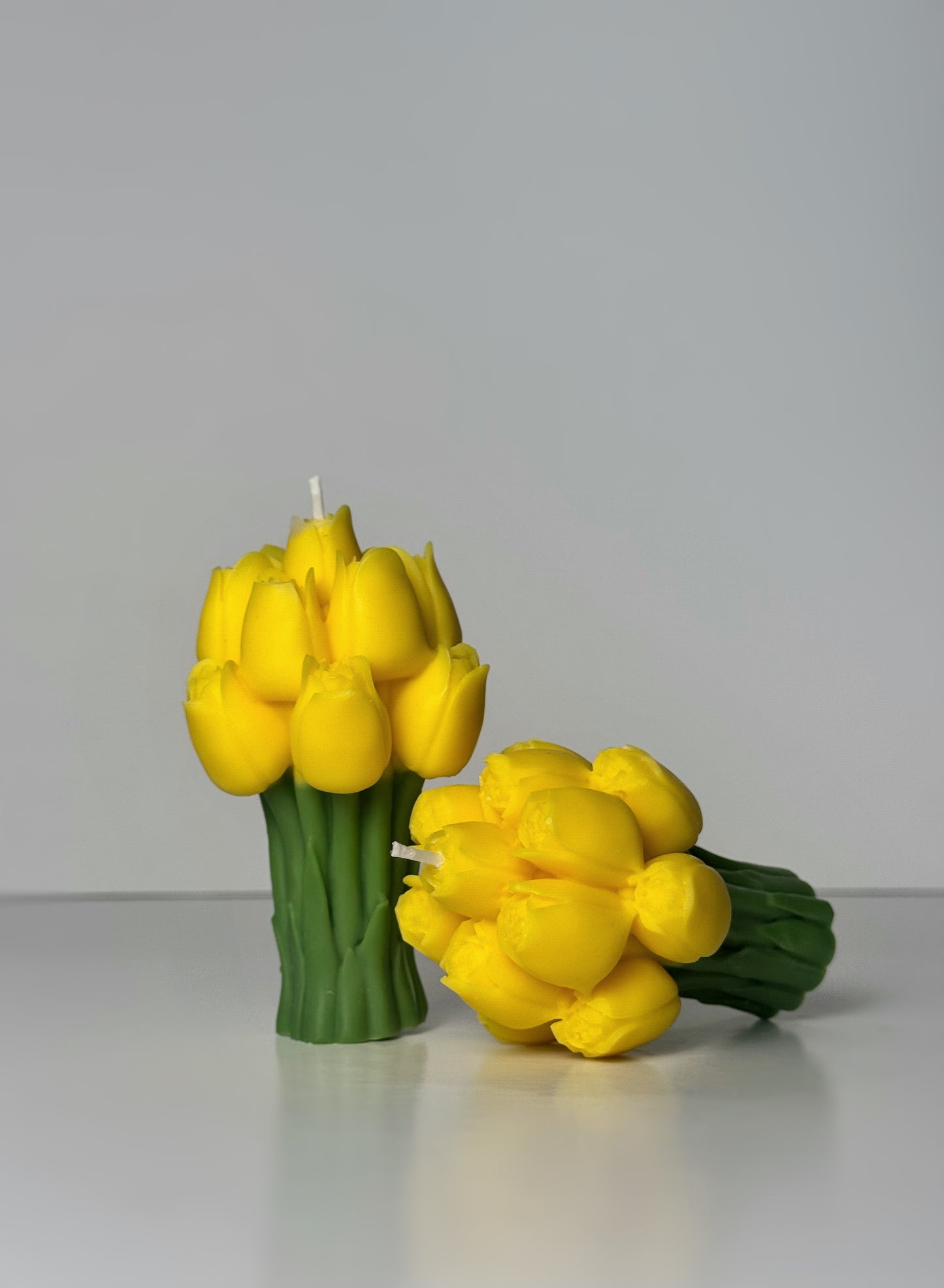 Tulip Flower